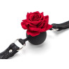 Generique Baillon Boule avec Rose Bud Gag Rose